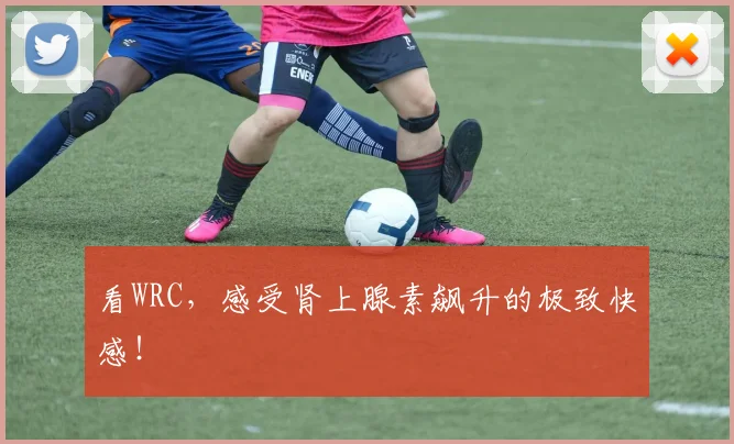 看WRC,感受肾上腺素飙升的极致快感!