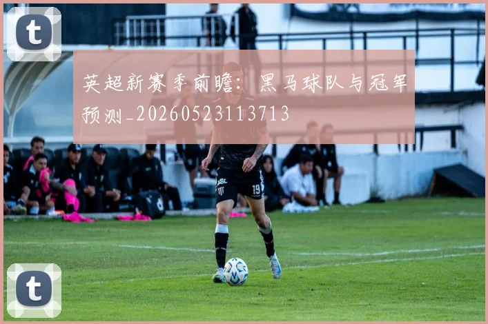 英超新赛季前瞻:黑马球队与冠军预测_20260523113713